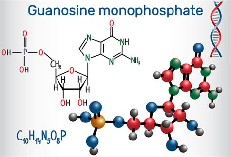 Guanosine Monophosphate Molecule It Is An Ester Of Phosphoric Acid With
