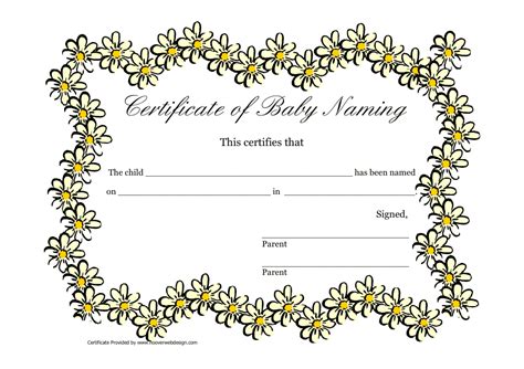 Certificate Of Baby Naming Template Download Printable Pdf Templateroller