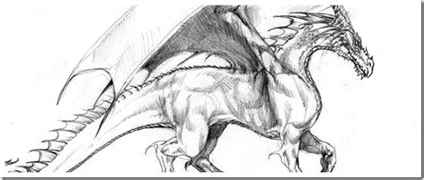 How to draw a cool dragon is simple and easy drawing app that comes to help you learn how to how to draw a cool dragon will teach you through an amazing detailed instructions how to draw a. Dragon Drawings