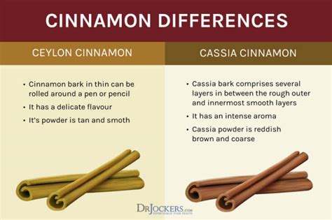 What Is The Best Cinnamon To Use Drjockers Com