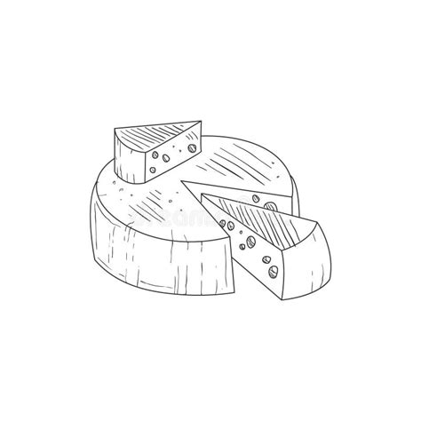 Round Cheese With A Segment Cut Out Hand Drawn Realistic Sketch Stock