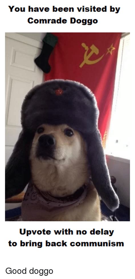 1 Upvote For Comrade Doggo 1 Step Closer To Revolution Kappa