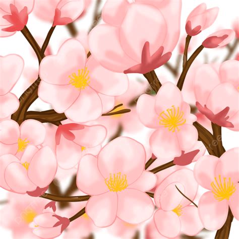 Peach Blossoms Hd Transparent Peach Blossom Background Wallpaper