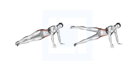 Side Plank Leg Raise Guide Benefits And Form