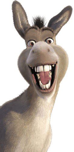 14 Awesome Funny Donkey Moments Shrek Funny Animals