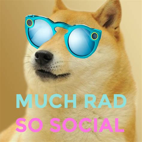 Featured strong doge weak doge memes see all. Why Snap Spectacles are Bound to be Successful - Biz Epic