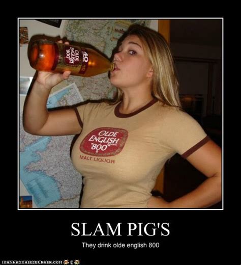 SLAM PIG S Cheezburger Funny Memes Funny Pictures