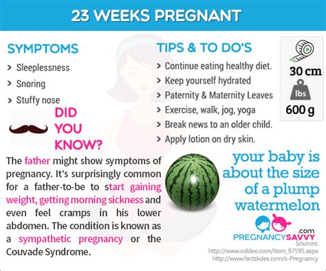 Pin On Pregnancy Weeks Infographic