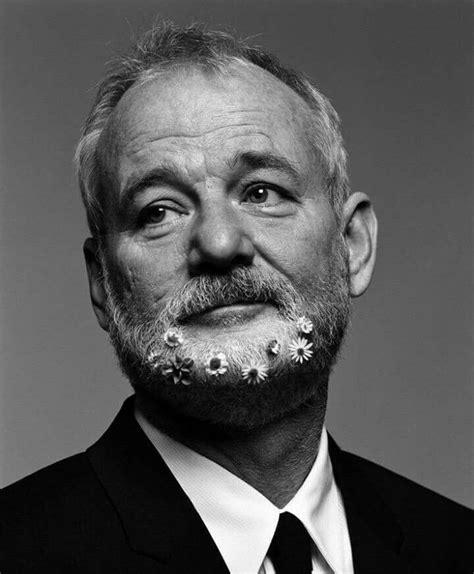 Bill Murray Bill Murray Portraiture Portrait Photography Foto Face Flower Beard Celebrity