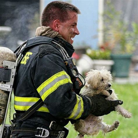 Firefighter Work Photo Collection Firefighterbrotherhood Firefighter