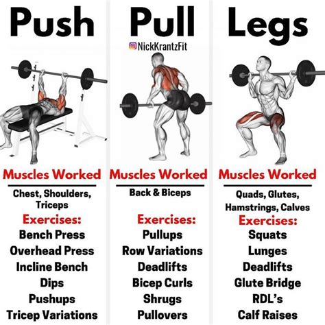 An Image Of The Muscles And Their Benefits In Doing Push Pull Exercises With Dumbbells