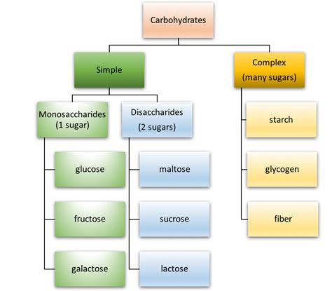 Types Of Carbohydrates
