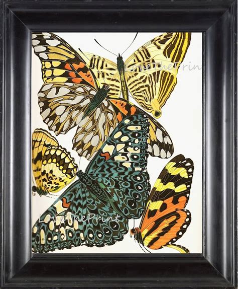 Butterfly Print 8x10 Botanical Art Print 3 By Lovetheprint On Etsy