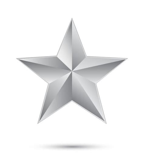 3d Silver Star — Stock Vector © Pockygallery 17673339