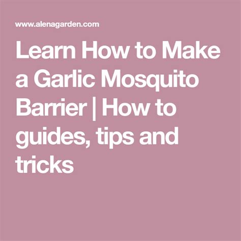 Eliminate standing water, plant mosquito repelling plants, and before using any repellant, you should make sure that you fully understand how it works and how long it. Learn How to Make a Garlic Mosquito Barrier | How to ...