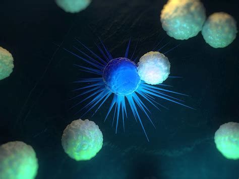 Immune Response To Cancer Artwork Photograph By Sciepro Fine Art America