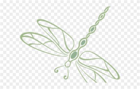Dragonfly Vector Free Download At Collection Of