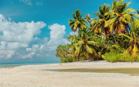 Beach Paradise Bikini Woman Lying Down On Sand Relaxing Sun Tanning In Tropical Caribbean Travel