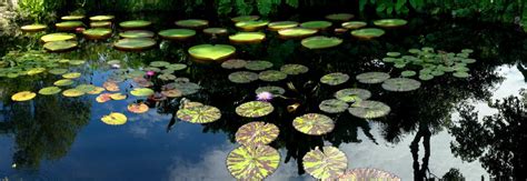 It was one of the four unincorporated neighborhoods that were incorporated to create the new city of west park in 2005. Robert Clibbon - Photographs