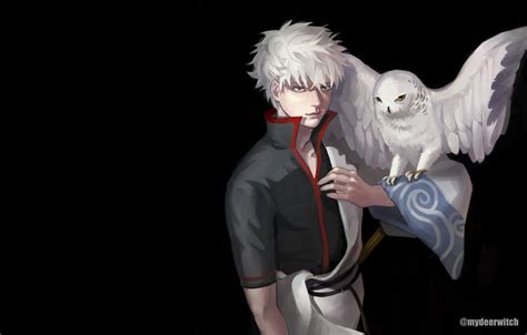 Anime Owl Wallpapers Wallpaper Cave