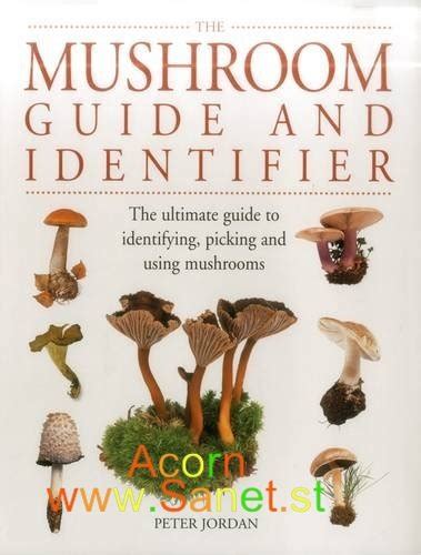 For any one who curious to know any mushroom around, this is a professional mushroom identification app. Download The Mushroom Guide and Identifier - SoftArchive