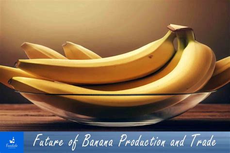 Shortage Of Bananas 2023 Know The Truth Foodide