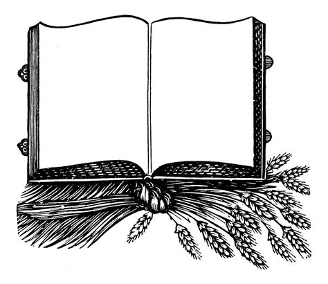 Book Frames Clipart And Borders And Frames Clip Art Borders Doodle
