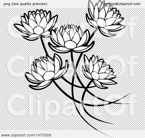 Clipart Of Black And White Five Water Lily Lotus Flowers Royalty Free