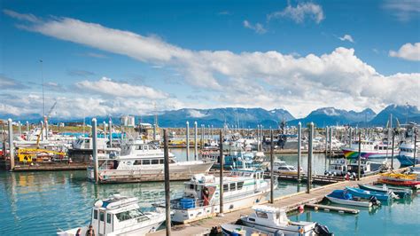 Why Homer Alaska Is The States Most Charming Town Condé Nast Traveler