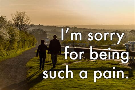Im Sorry Messages For Him And Her 40 Ways To Apologize Pairedlife
