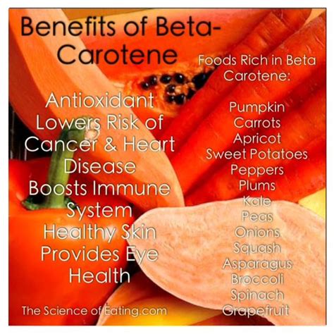 Beta Carotene Is A Pigment Found In Plants That Gives Them Their Color