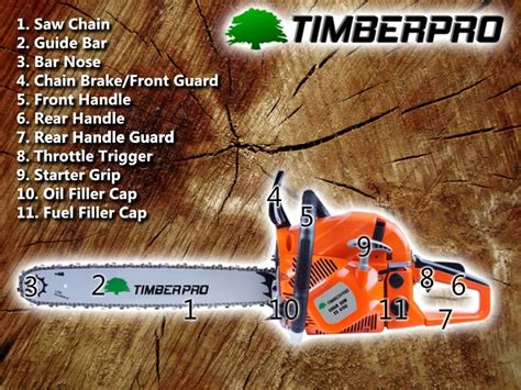 Parts Of A Chainsaw Infographic