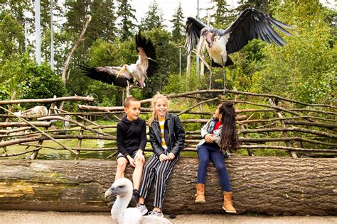 dierenpark amersfoort vvv amersfoort