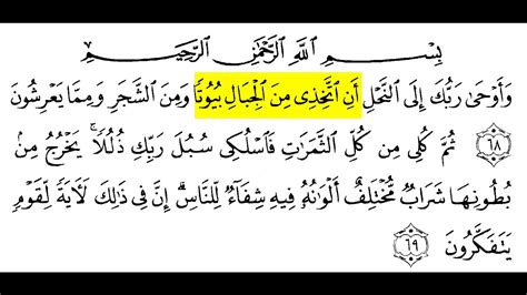 Surah An Nahl Ayat 68 69 YouTube