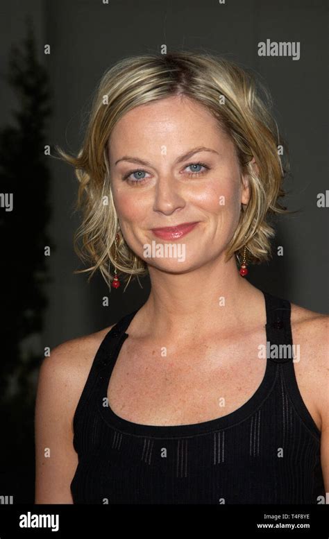 Los Angeles Ca April 19 2004 Actress Amy Poehler At The World