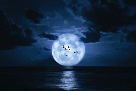 Moon At Midnight