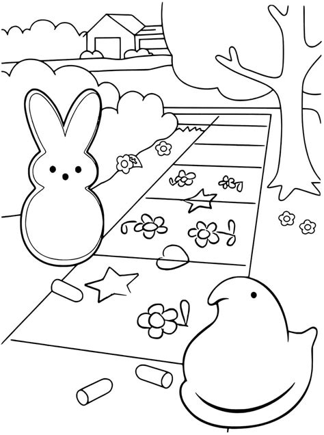 Peeps Chick Coloring Page Coloring Pages The Best Porn Website