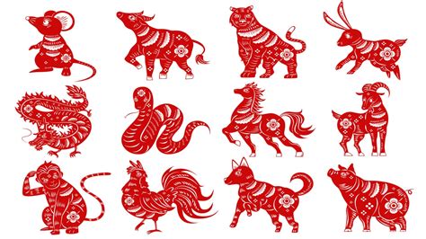 chinese zodiac signs months