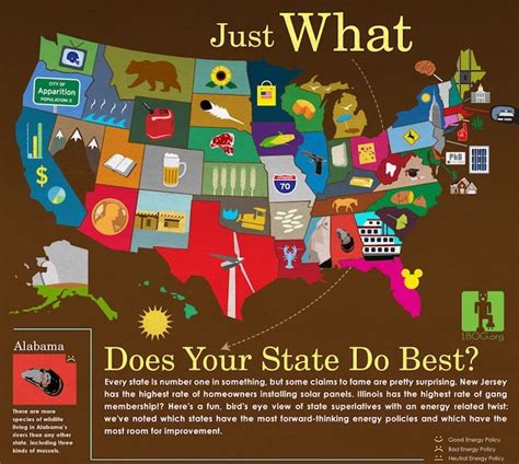 Infographic What Does Your State Do Best States Homeschool