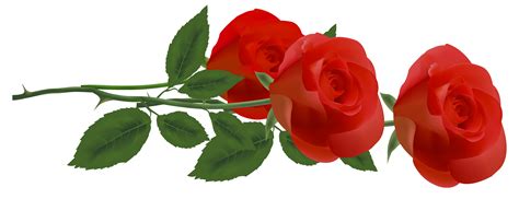 Rose Flower Clip Art Red Rose Border Png Download 63992464 Free