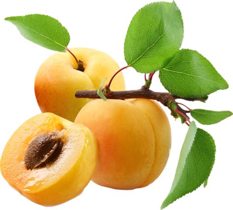 Apricots Png