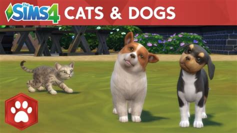 Dogs Rule And Cats Drool In The Latest Expansion For The