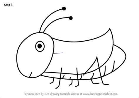 How To Draw A Grasshopper For Kids Animals For Kids Step By Step