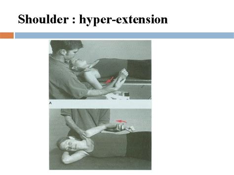 Range Of Motion Exerciserom Type Of Rom Exercises
