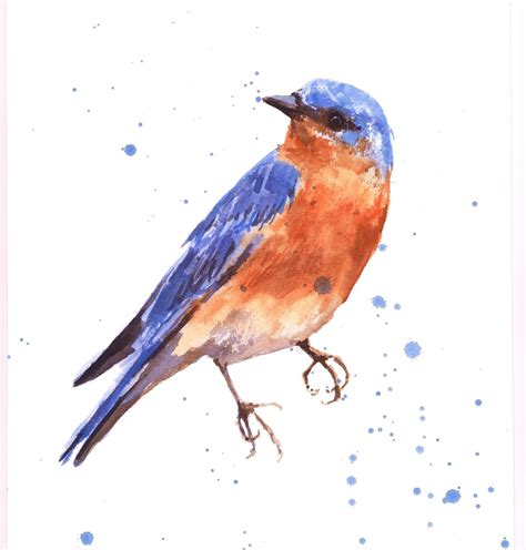 Bluebird Print Bird Art Bluebird Painting Blue Orange
