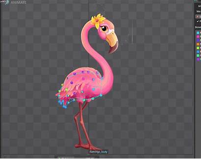 Flamingo Animation Zoo Story Behance Character Katherine