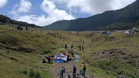 Jalur Pendakian Gunung Gede Pangrango Dibuka Ini Aturan Lengkapnya
