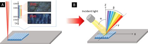 Line By Line Color Formation By Laser Induced Periodic Surface