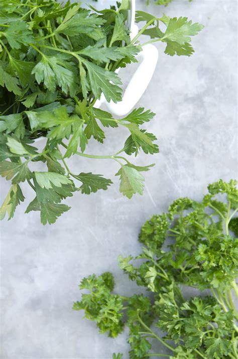 Everything You Need to Know About Growing Parsley | Kitchn