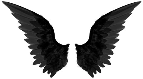 Black Wings Png Transparent Image Download Size 4072x2265px